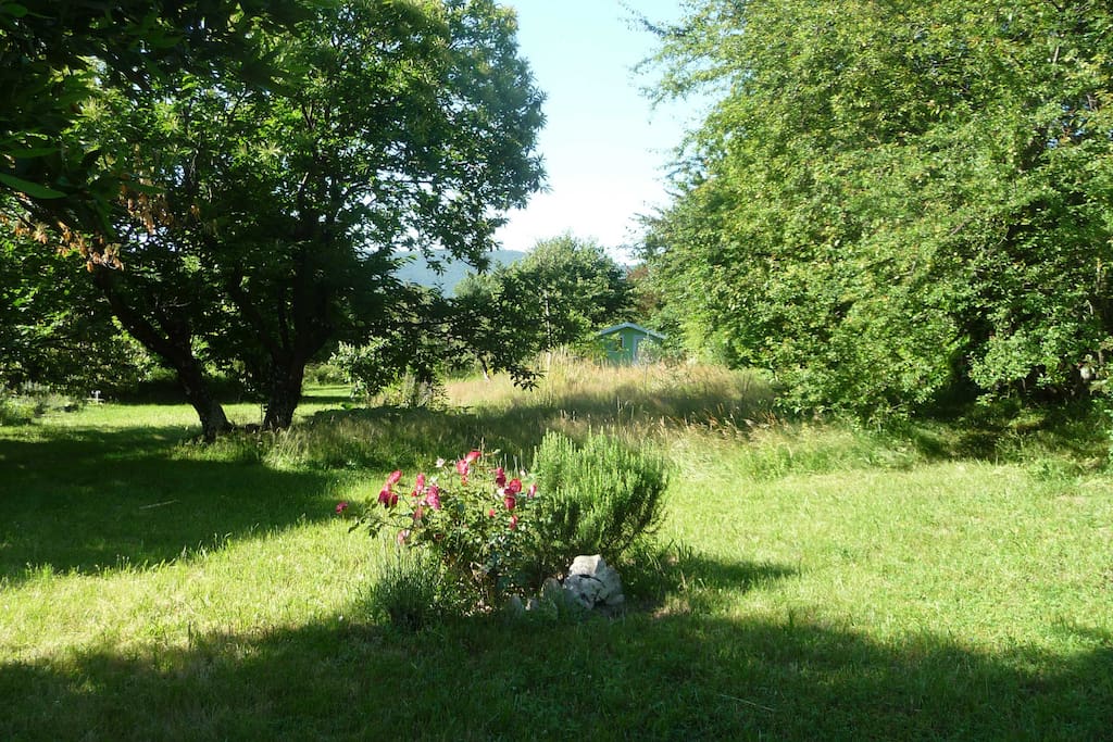 Le jardin vu de la maison