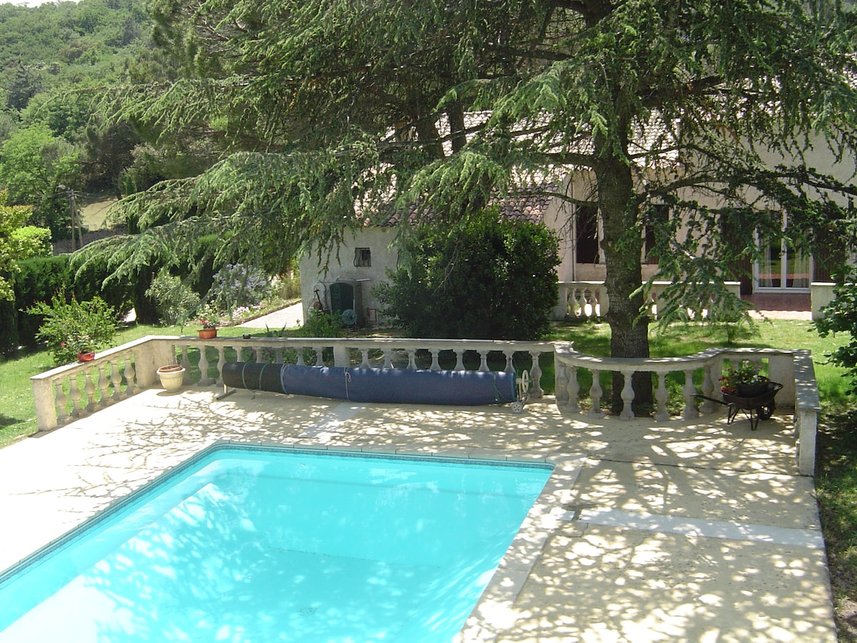 A clear pool reflects the surrounding greenery and a large, mature tree provides shade over a spacious terrace. Lush vegetation and ornamental plants frame the area, creating a serene outdoor environment suitable for relaxation.