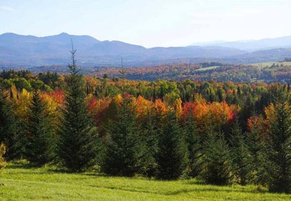 Fall is beautiful