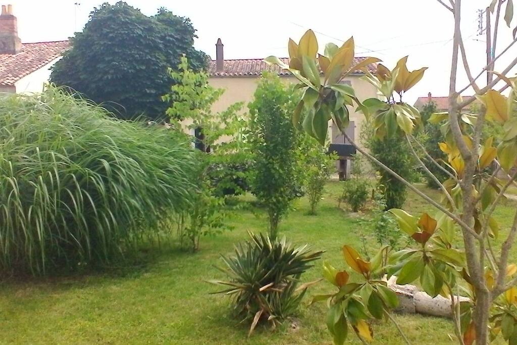 jardin avec espace barbecue