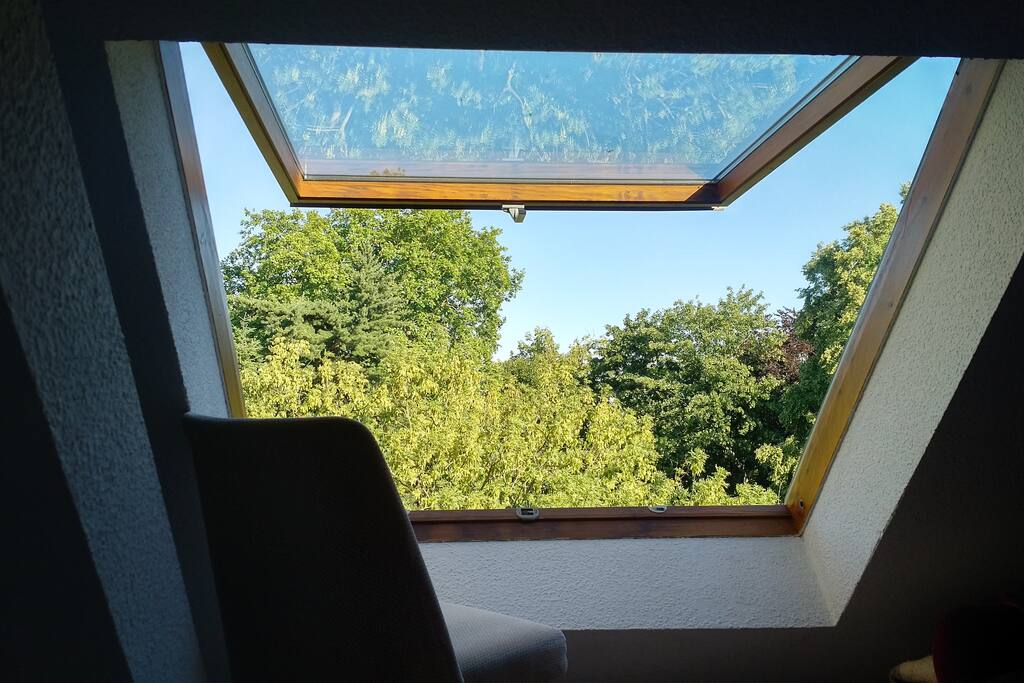 ... statt eines Balkons