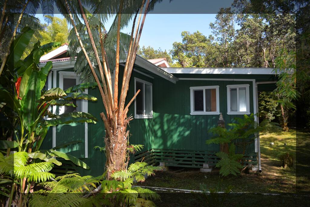 Aloha Liona Place Studio