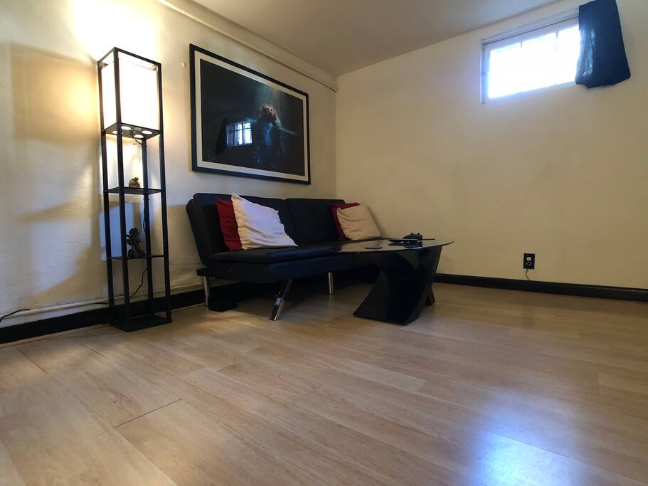 Mid sized, minimalistic living room space