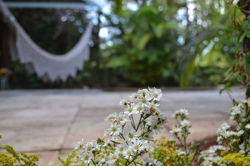 jardim