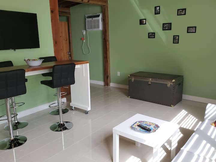 Amplia sala de estar y comedor