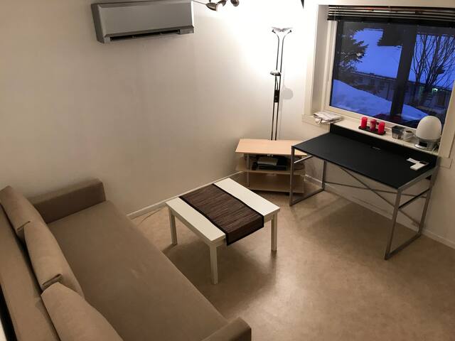 Studio apartment near ski resort