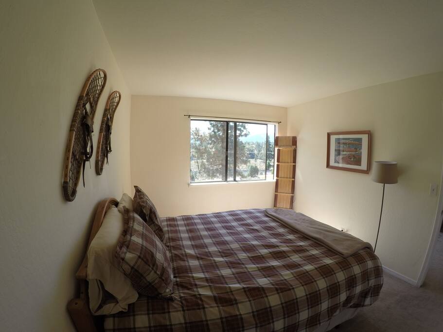 View outside of pine trees, Northstar, and the valley!