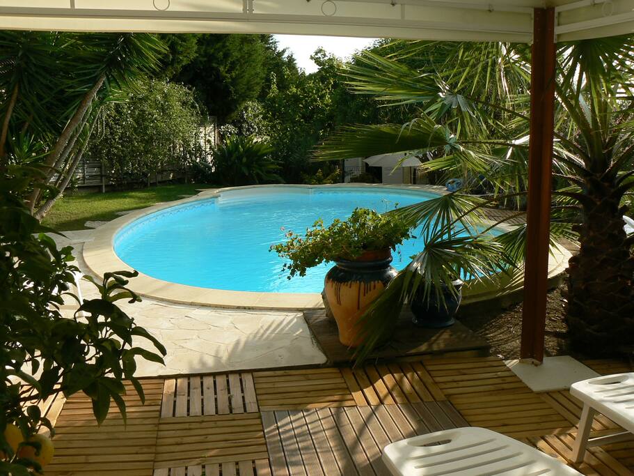 Another view of the swimming pool with sunbeds