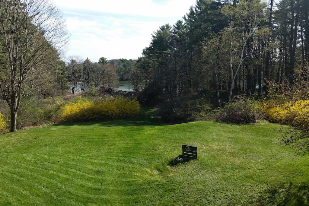 Deck View of backyard