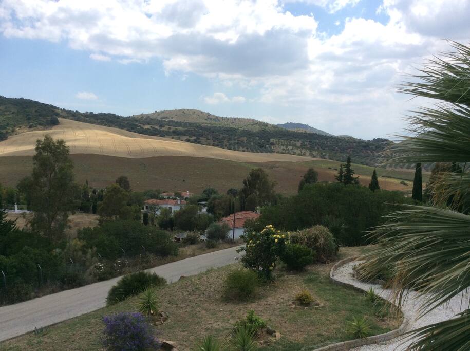 Views from the roof terrace