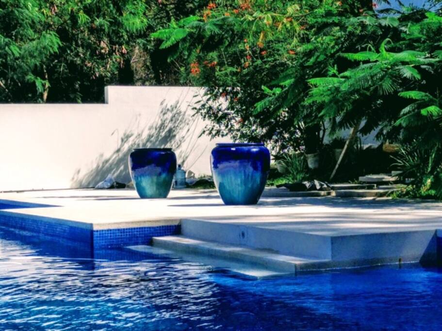 Swimming pool area and garden