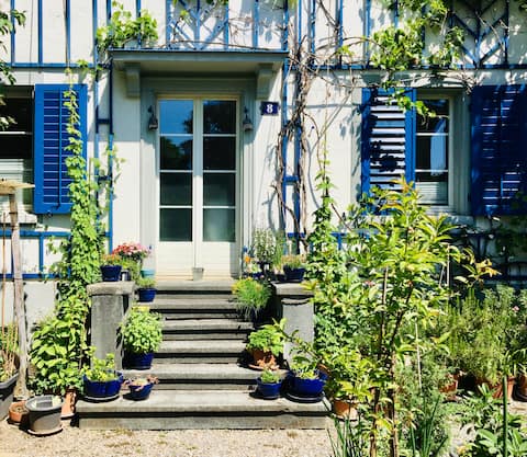 Successful Airbnb property: Idyllic 2 1/2 room old building apartment with garden in Wollishofen