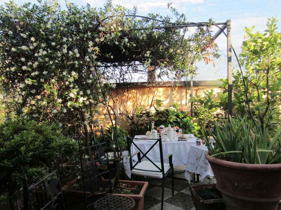 terrace
