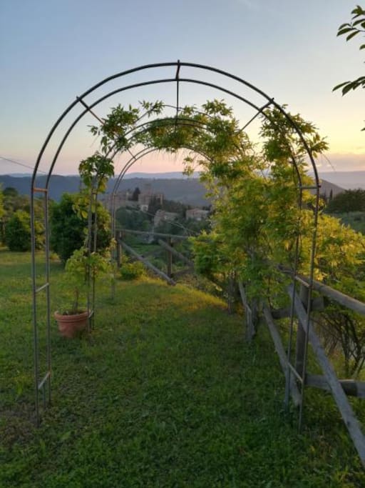 Garden with view
