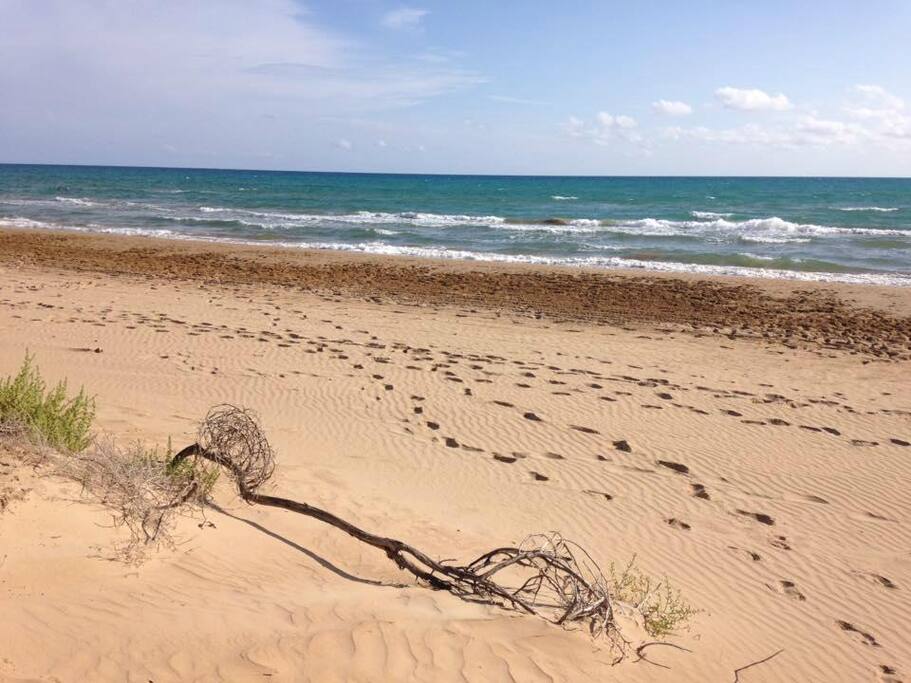 Spiaggia S. Maria Del Focallo