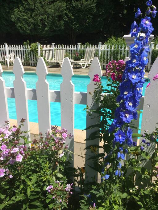 Summer pool