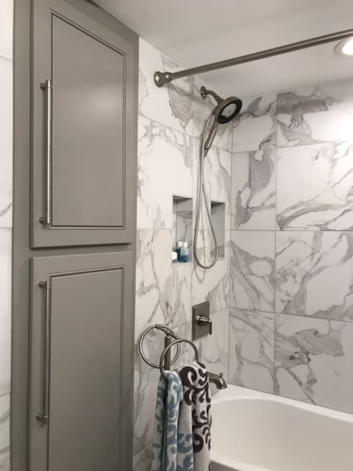 Luxurious combination shower and tub in separate bathroom