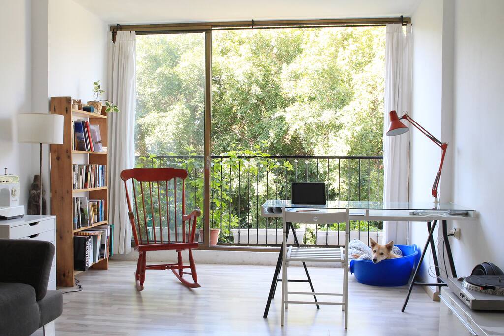 spacious, green view, renovated, modern, centered