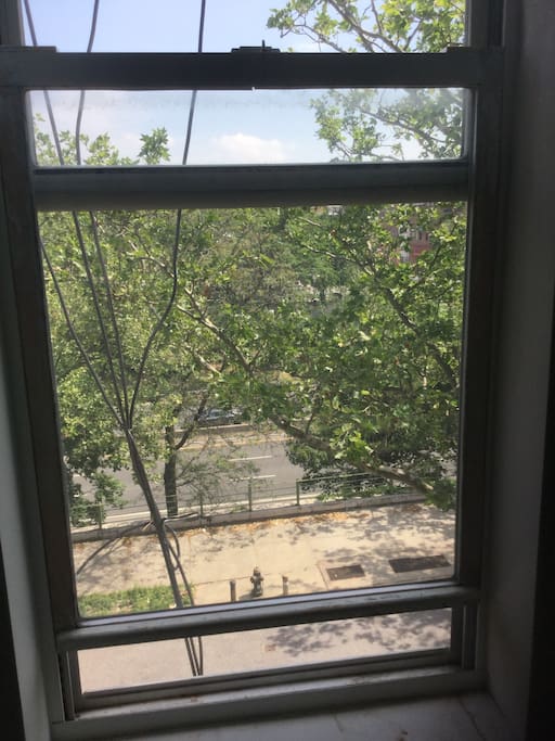 The view from your room's window