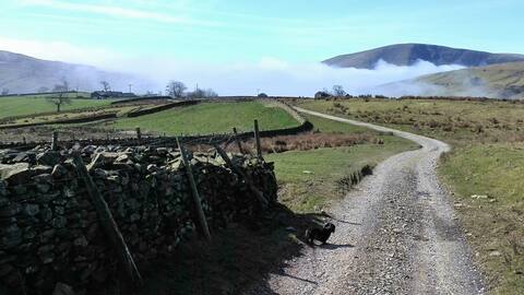 Detached cottage/barn, sleeps 16