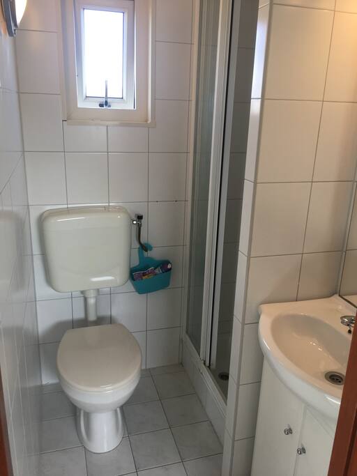 Badkamer met douche en toilet