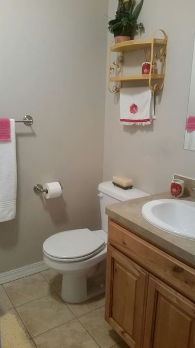 Guest bathroom