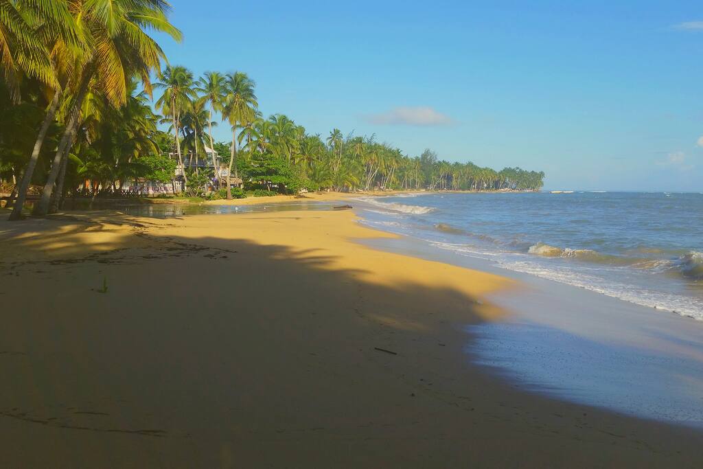 Beach within 2 minutes walk