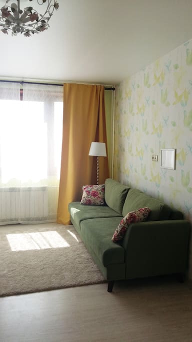 Living room with sofa
Гостиная комната с раскладывающимся диваном.