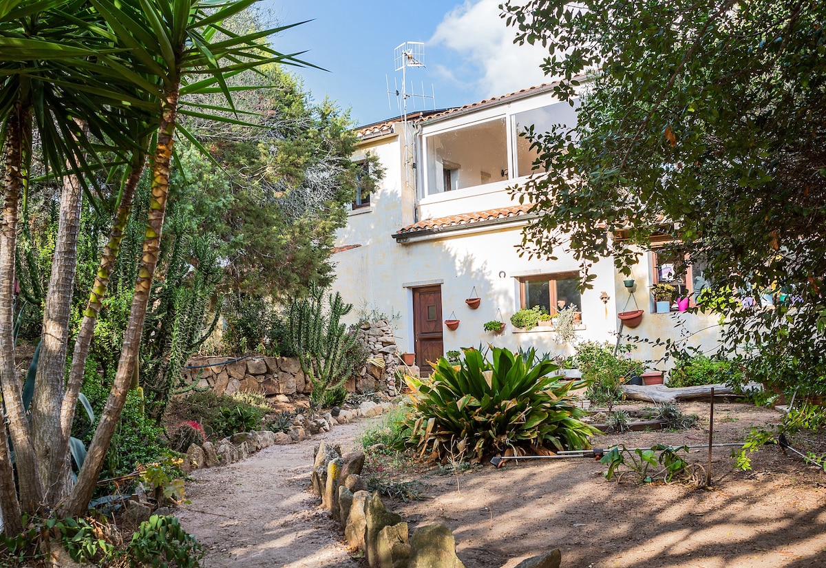 Top performing Airbnb: Studio between land and sea in Palau