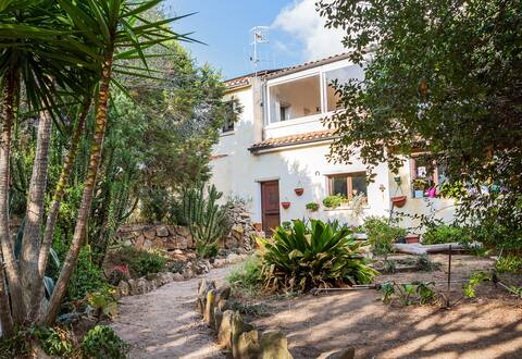 Top performing Airbnb: Studio between land and sea in Palau