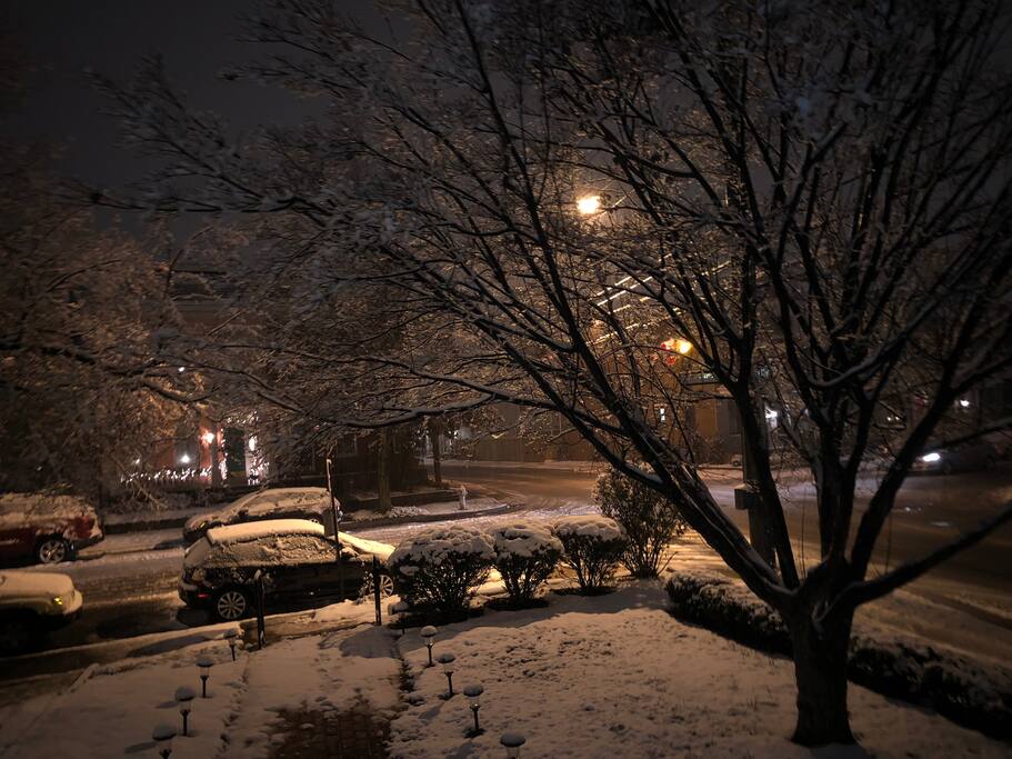 Snowy view from Front Porch in Winter