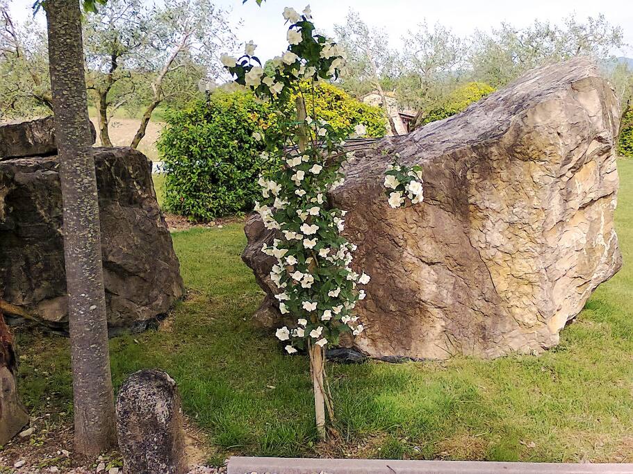 giardino roccioso