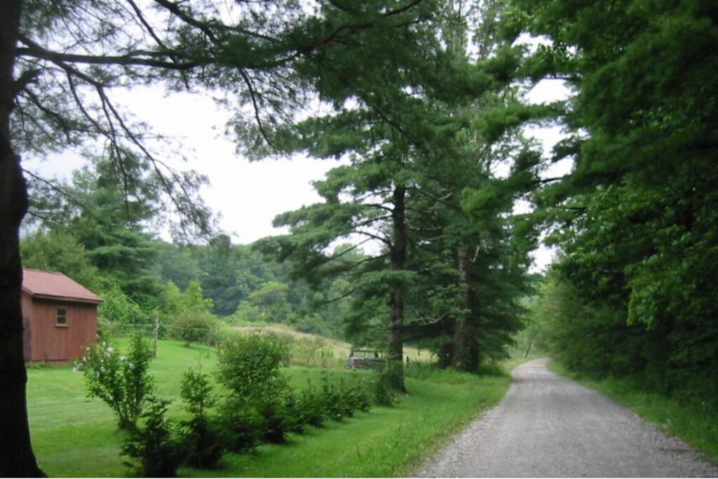 Foley Road in the Summer