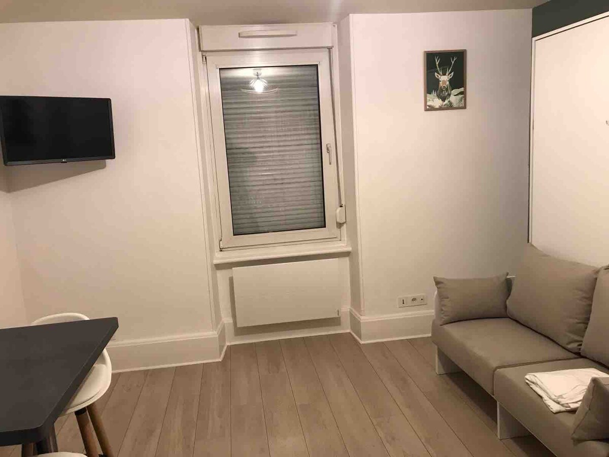 Successful Airbnb property: Studio "At the Little Fir Tree of CT" in Vosges