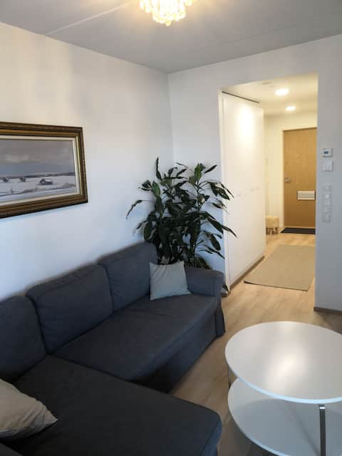 Spacious two-bedroom apartment in the center of Kempele