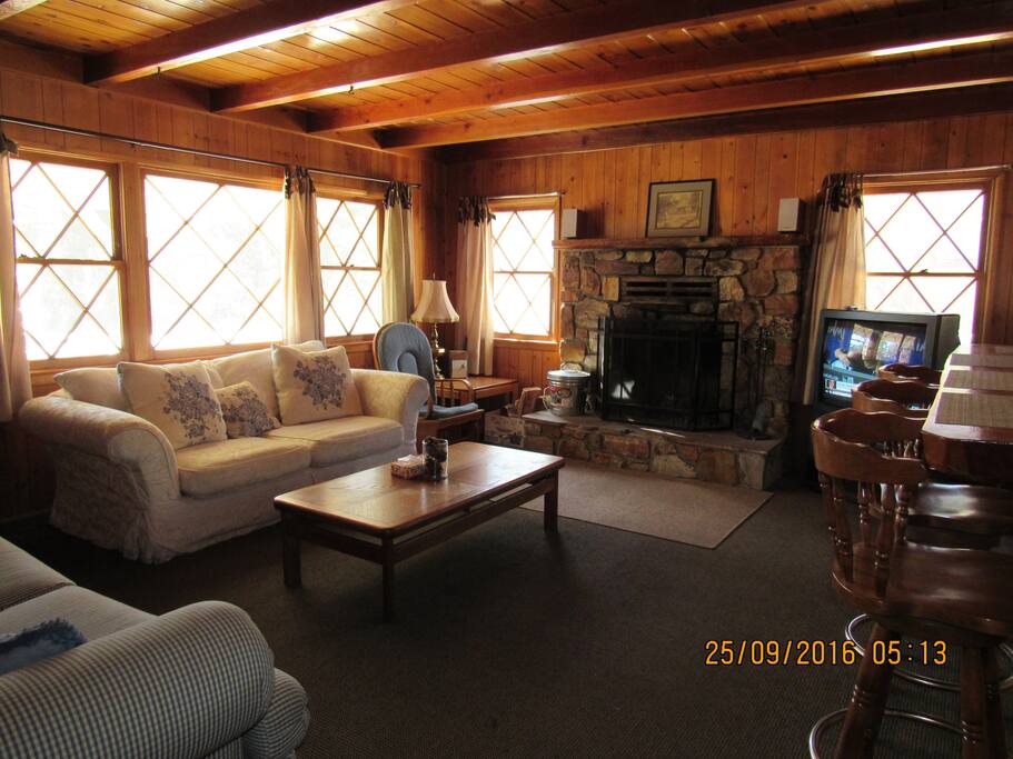 Sofa Sleeper in Living Room