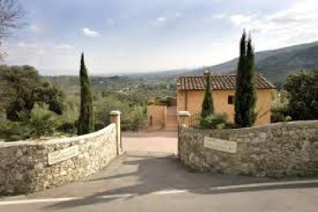 the entrance (with gate)