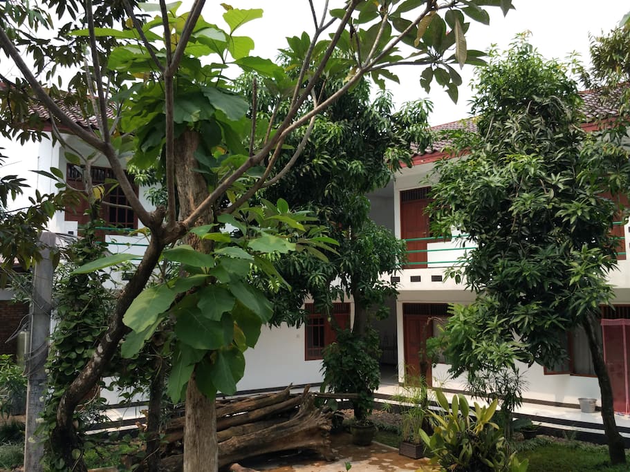 Building of room for rent is separate from main house.