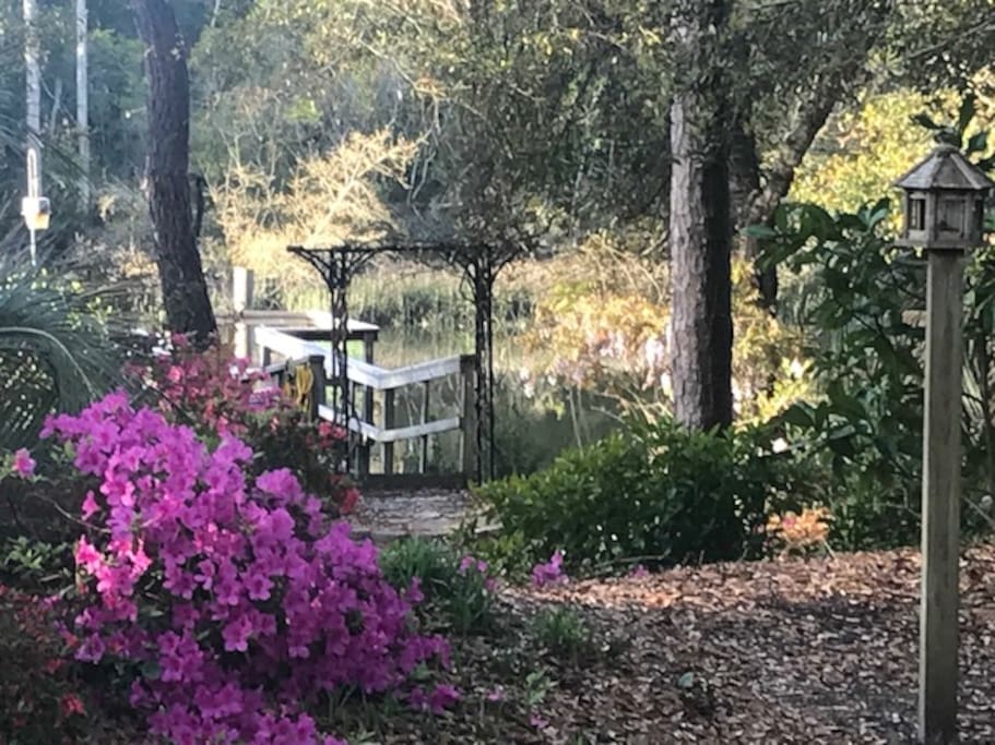 View of dock