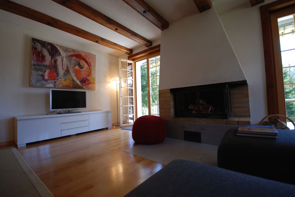 Livingroom, TV with DVD player and fireplace