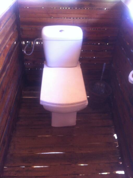 coin WC
