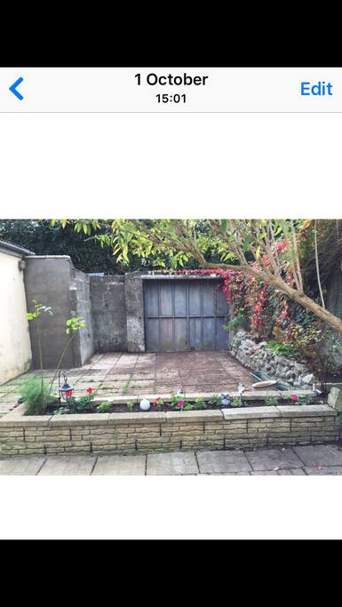 Back garden