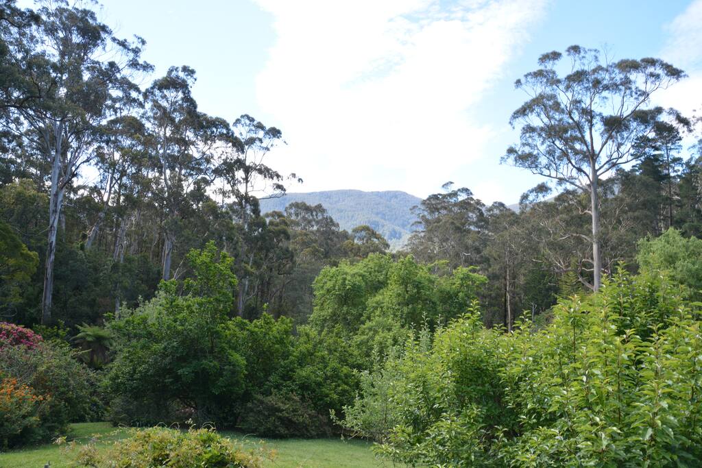 View of Mt. Donna Buang from the living room, main bedroom and deck.