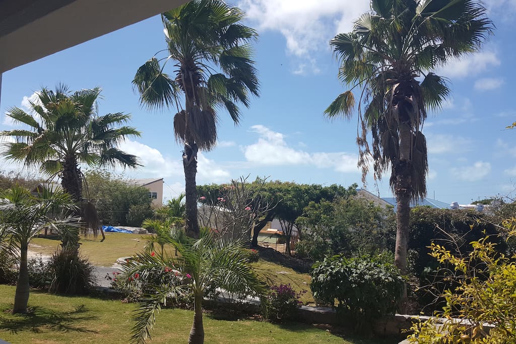 Patio from the apartment