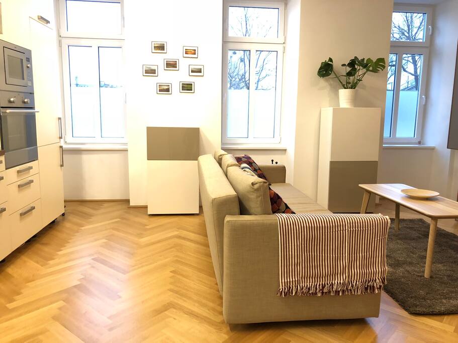 Stylish living room with kitchen