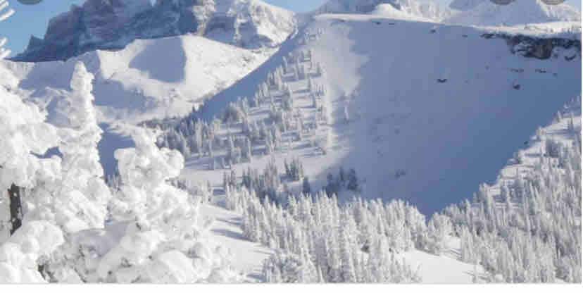 A snow-covered landscape features softly rolling hills blanketed in white. Evergreen trees, laden with snow, stand prominently in the foreground, while distant mountains rise under a clear blue sky. The serene scene conveys a tranquil winter setting.