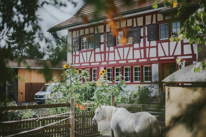 A unique stay in a studio at a horse farm