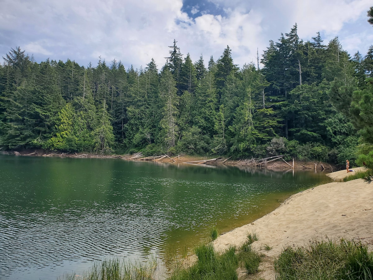 A serene lake is surrounded by lush greenery, with trees lining the shore. The calm water reflects the sky, creating a soothing atmosphere. A sandy beach extends along one side, providing a natural space for relaxation and recreation.