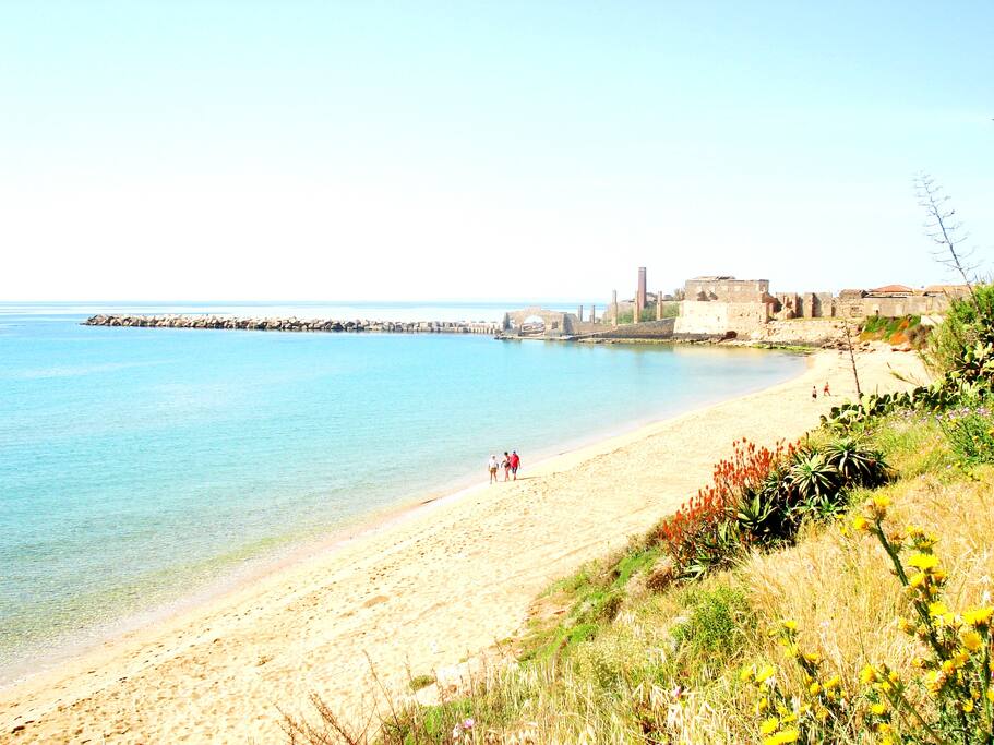 Panoramica della spiaggia della Loggia a soli 50 mt da casa