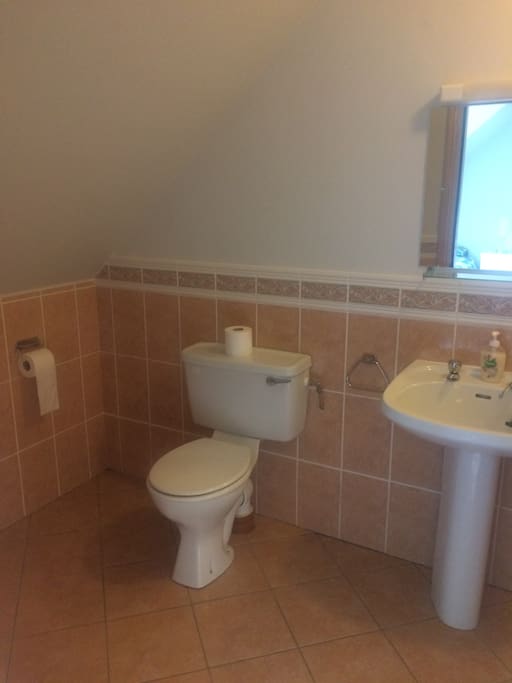 En suite bathroom with electric shower